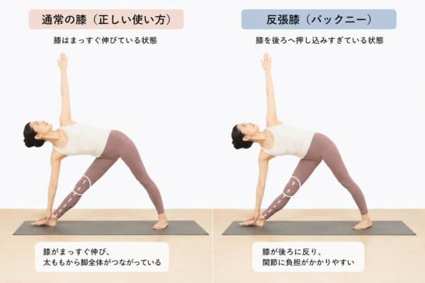膝の使い方の比較
