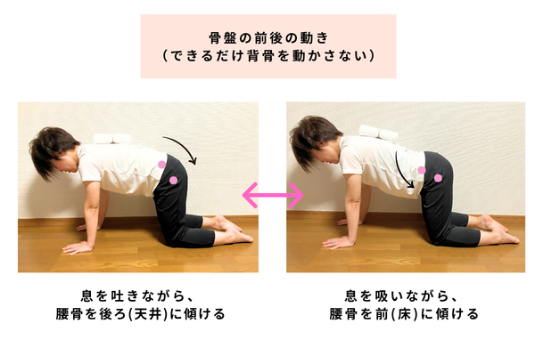 骨盤の前後の動き