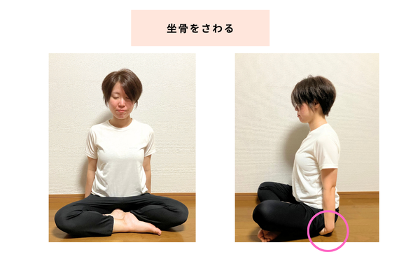 坐骨をさわる