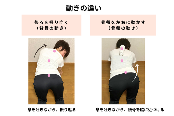 動きの違い
